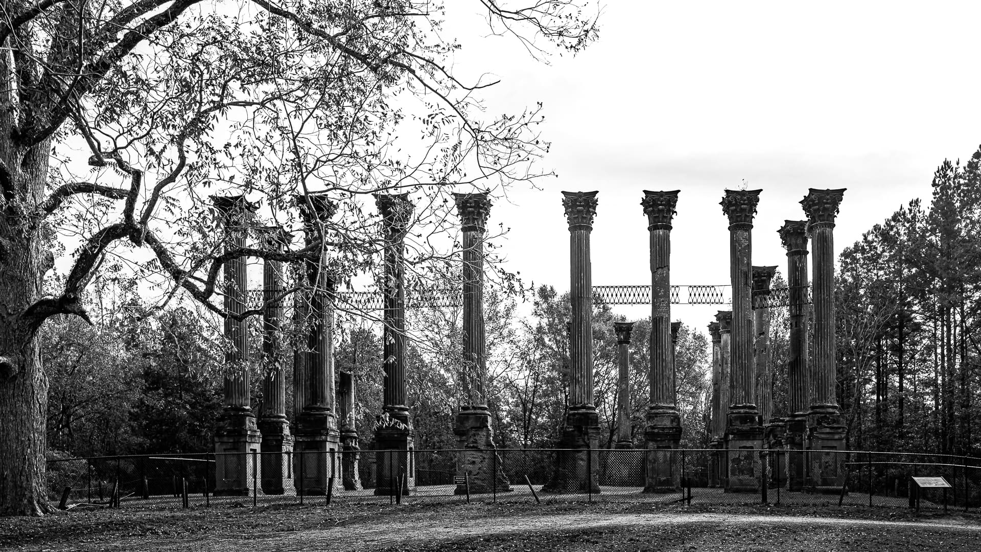 The Windsor Ruins of Port Gibson, Mississippi - Full Architecture Photo