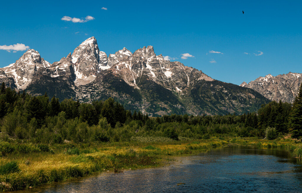 Snow-capped mountain range with jagged peaks rises above dense evergreen forest and a winding stream in the foreground under clear blue sky
