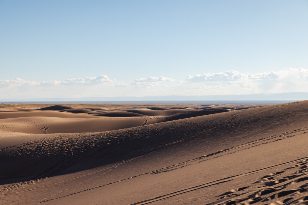 Rolling sand dunes with rippled patterns and dark volcanic rock formations stretching across an arid landscape