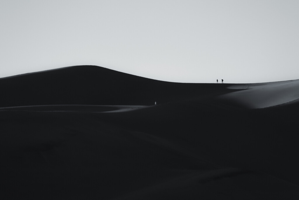 Sleek black building silhouette with undulating roof against overcast sky, two figures visible on the ridge.