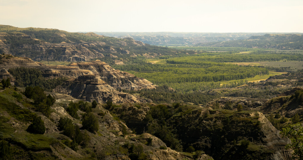 Dramatic canyon terrain with exposed rock formations, evergreen trees clinging to steep slopes, and a lush green valley stretching to distant bluffs